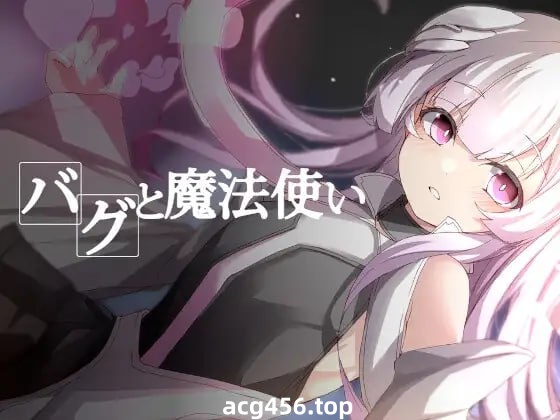 x1906 BUG与魔法使(バグと魔法使い)  汉化版 [360M]-乐游二次元