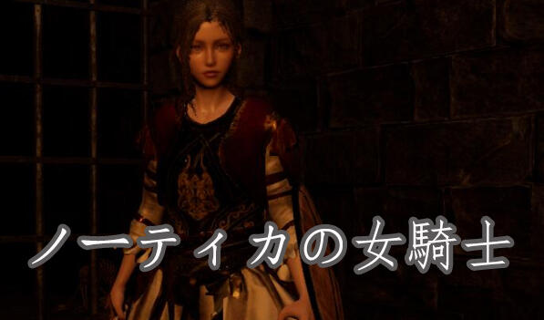 t2171 诺蒂卡的女骑士 官方中文[新作/1.3G]-乐游二次元