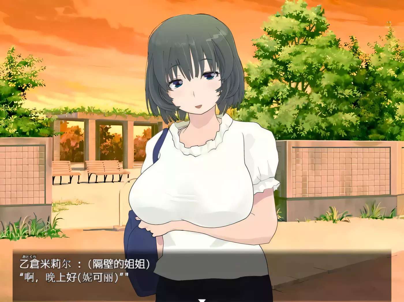 【高自由度RPG/汉化/全动态】寝取小镇的超H传阅板！开门即H！汉化作弊版【900M/全CV】-乐游二次元