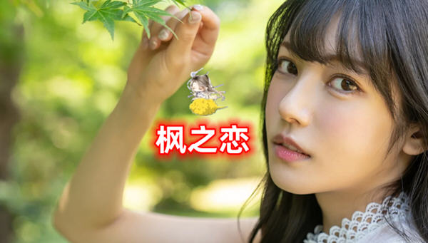 【国人原创SLG/中文/动态CG】[逍遥大大] 枫之恋 Ver1.0 官方中文版【PC+安卓/2G/新作】-乐游二次元