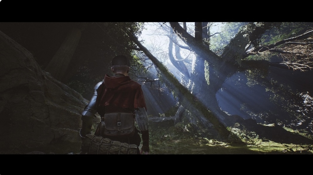 图片[6]-1348 圣誓豪华中文 Build.22324450+全DLC-乐游二次元