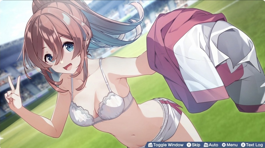 图片[8]-梦幻球星明日翔 完全版「官方中文 V1.0.1A+全DLC-乐游二次元