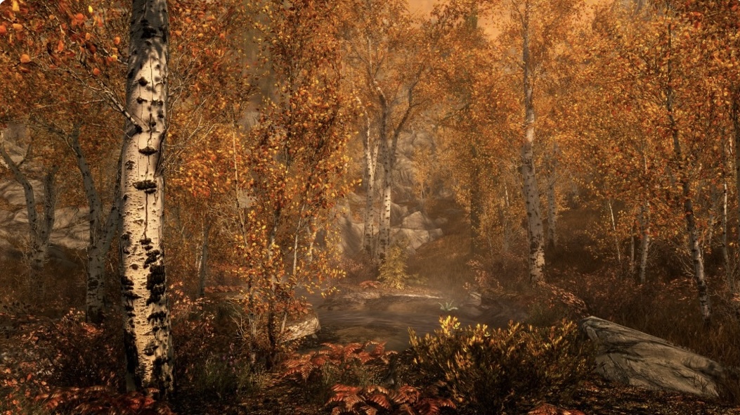 图片[4]-上古卷轴5 天际 豪华年度传奇 重制版|V2.0.5-整合MOD威猛版+全 DLC|解压即撸-乐游二次元